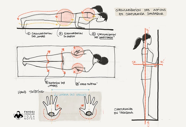 chaturanga-dandasana_SMALL